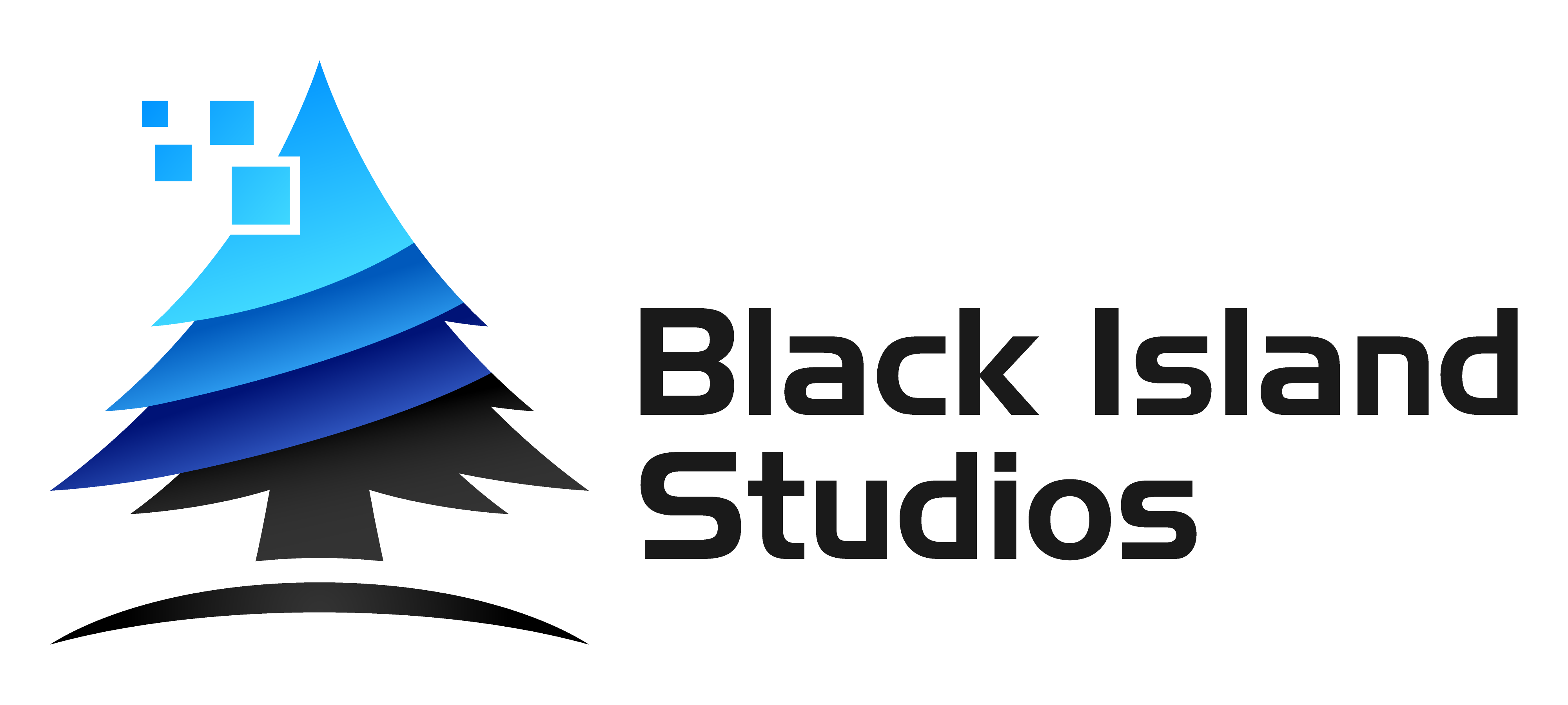 Black Island Studio